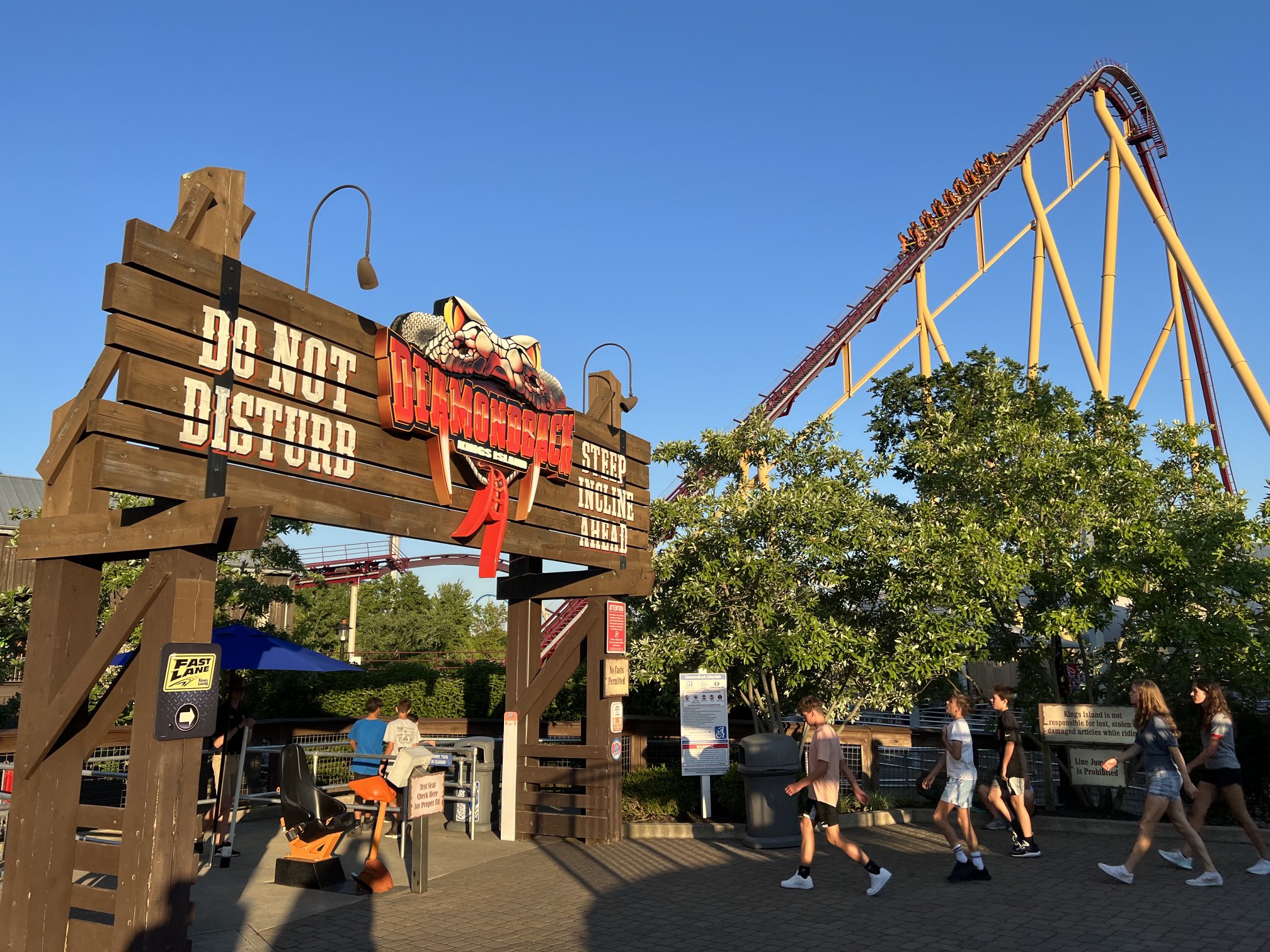 Diamondback at Kings Island