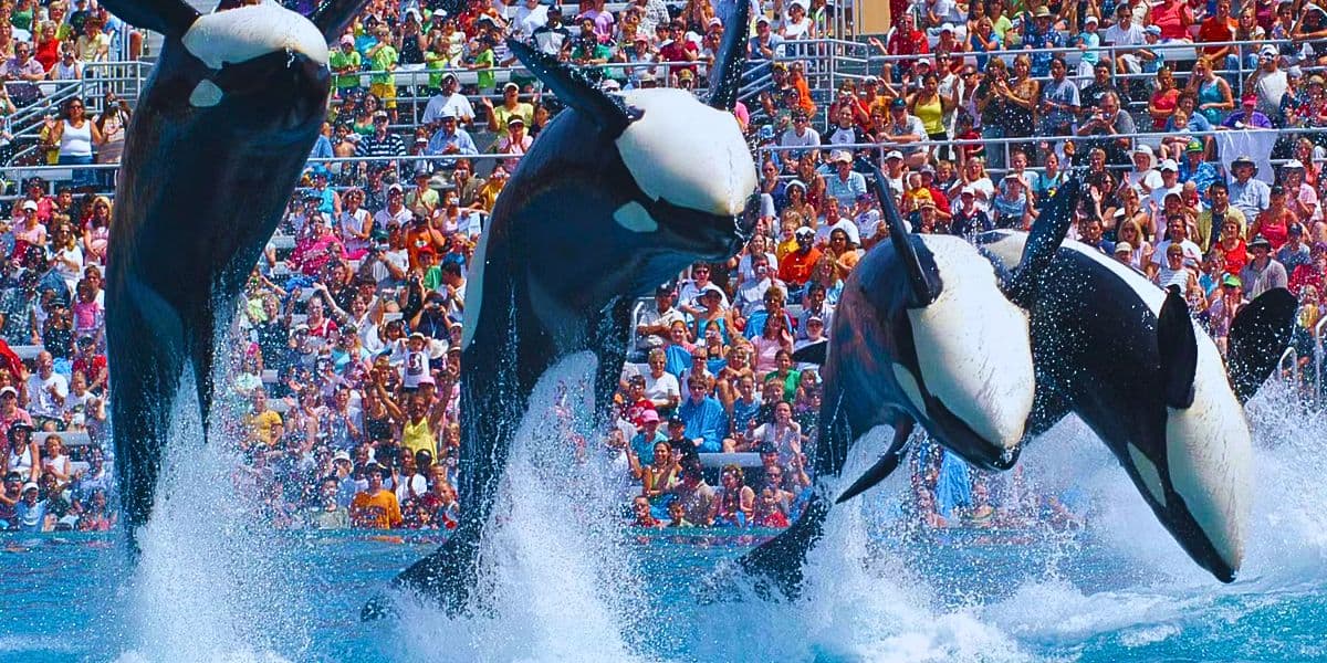 Seaworld Orlando